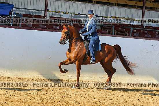 Proof 09r2-0855
