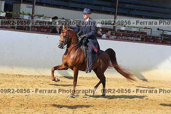 Proof 09r2-0856