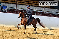 09r2-0857 proof