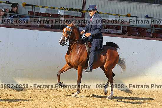 Proof 09r2-0858