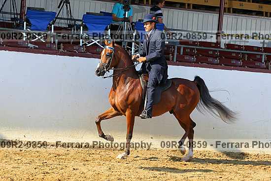 Proof 09r2-0859