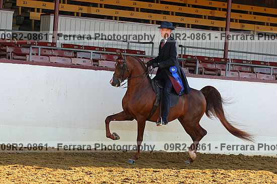 Proof 09r2-0861