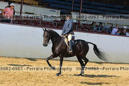 Proof 09r2-0863