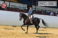 09r2-0863 proof