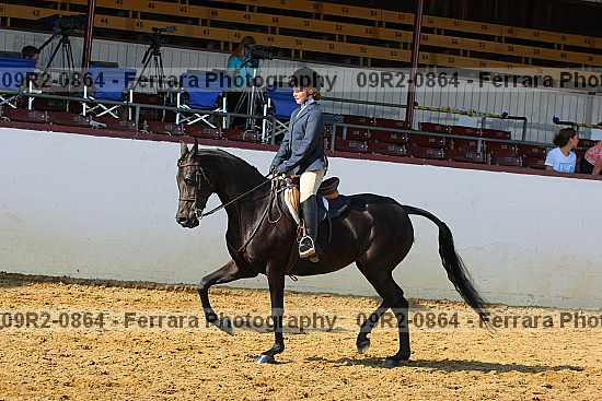 Proof 09r2-0864
