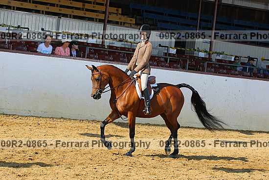 Proof 09r2-0865