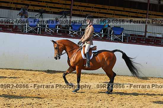 Proof 09r2-0866