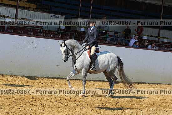 Proof 09r2-0867