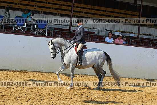 Proof 09r2-0868