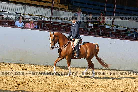 Proof 09r2-0869
