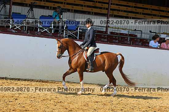 Proof 09r2-0870