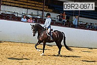 09r2-0871 proof