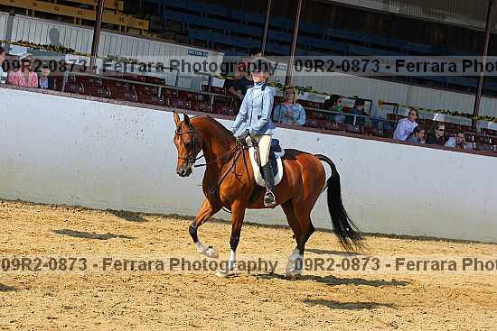 Proof 09r2-0873