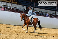 09r2-0873 proof