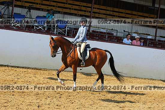 Proof 09r2-0874