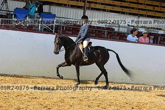 Proof 09r2-0875