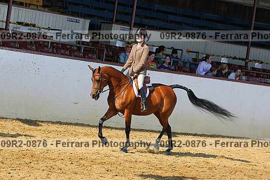 Proof 09r2-0876