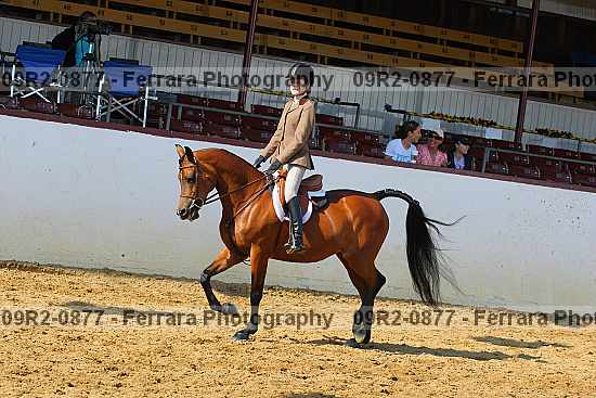 Proof 09r2-0877