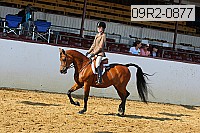 09r2-0877 proof