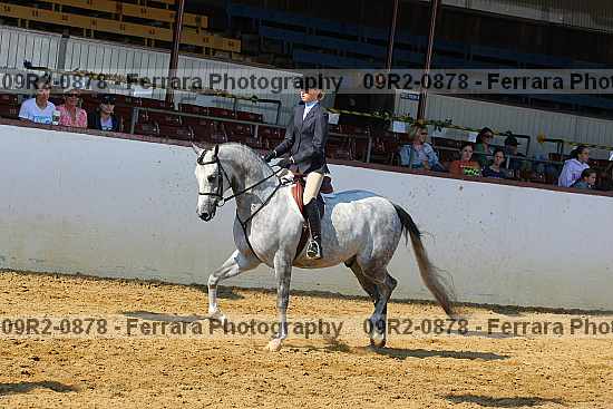 Proof 09r2-0878