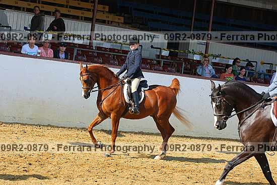 Proof 09r2-0879
