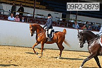 09r2-0879 proof