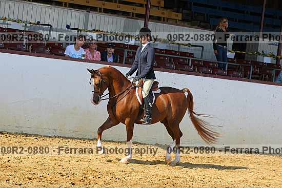 Proof 09r2-0880