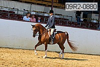09r2-0880 proof