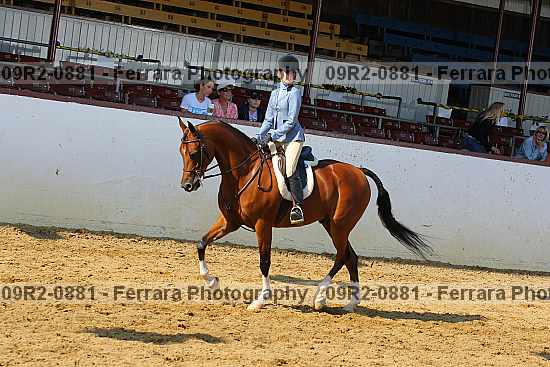 Proof 09r2-0881