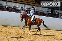 09r2-0881 proof