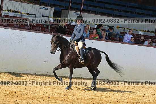 Proof 09r2-0882