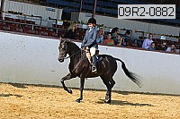 09r2-0882 proof