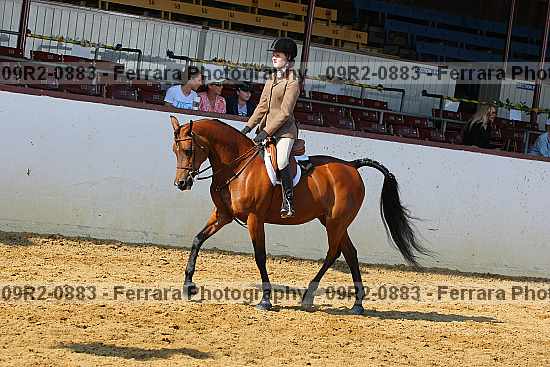 Proof 09r2-0883
