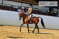 09r2-0883 proof