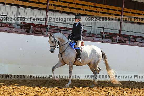 Proof 09r2-0885