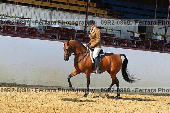 Proof 09r2-0889