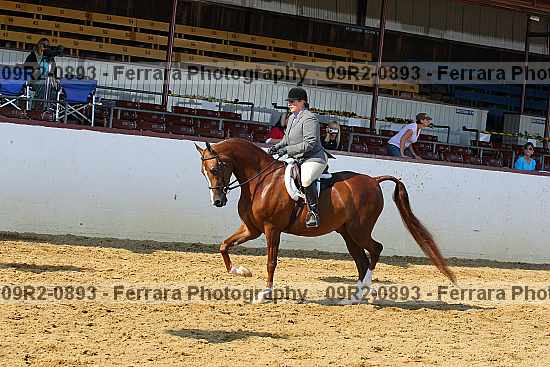 Proof 09r2-0893