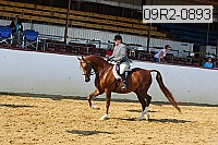 09r2-0893 proof