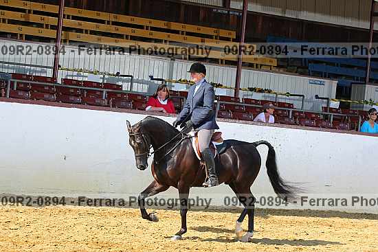 Proof 09r2-0894