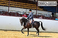 09r2-0894 proof