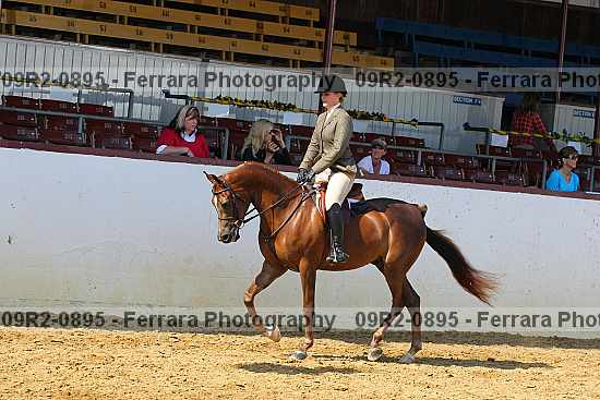 Proof 09r2-0895