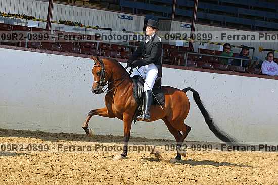 Proof 09r2-0899