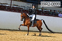 09r2-0899 proof