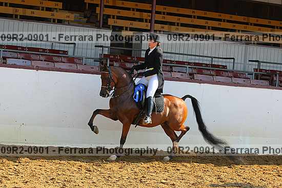Proof 09r2-0901