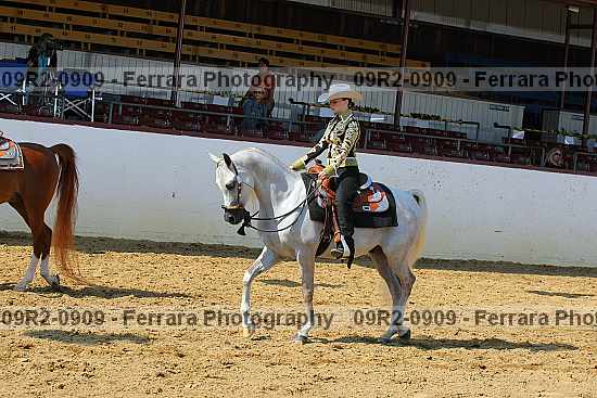 Proof 09r2-0909