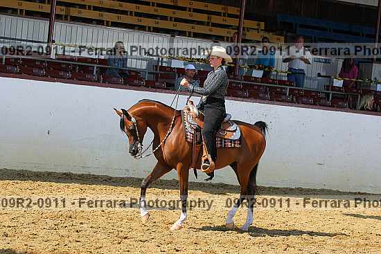 Proof 09r2-0911