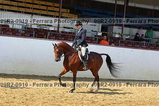 Proof 09r2-0919