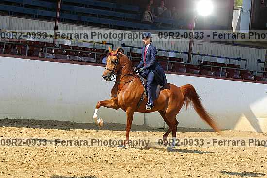 Proof 09r2-0933