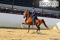 09r2-0933 proof