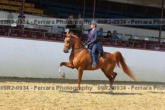 Proof 09r2-0934